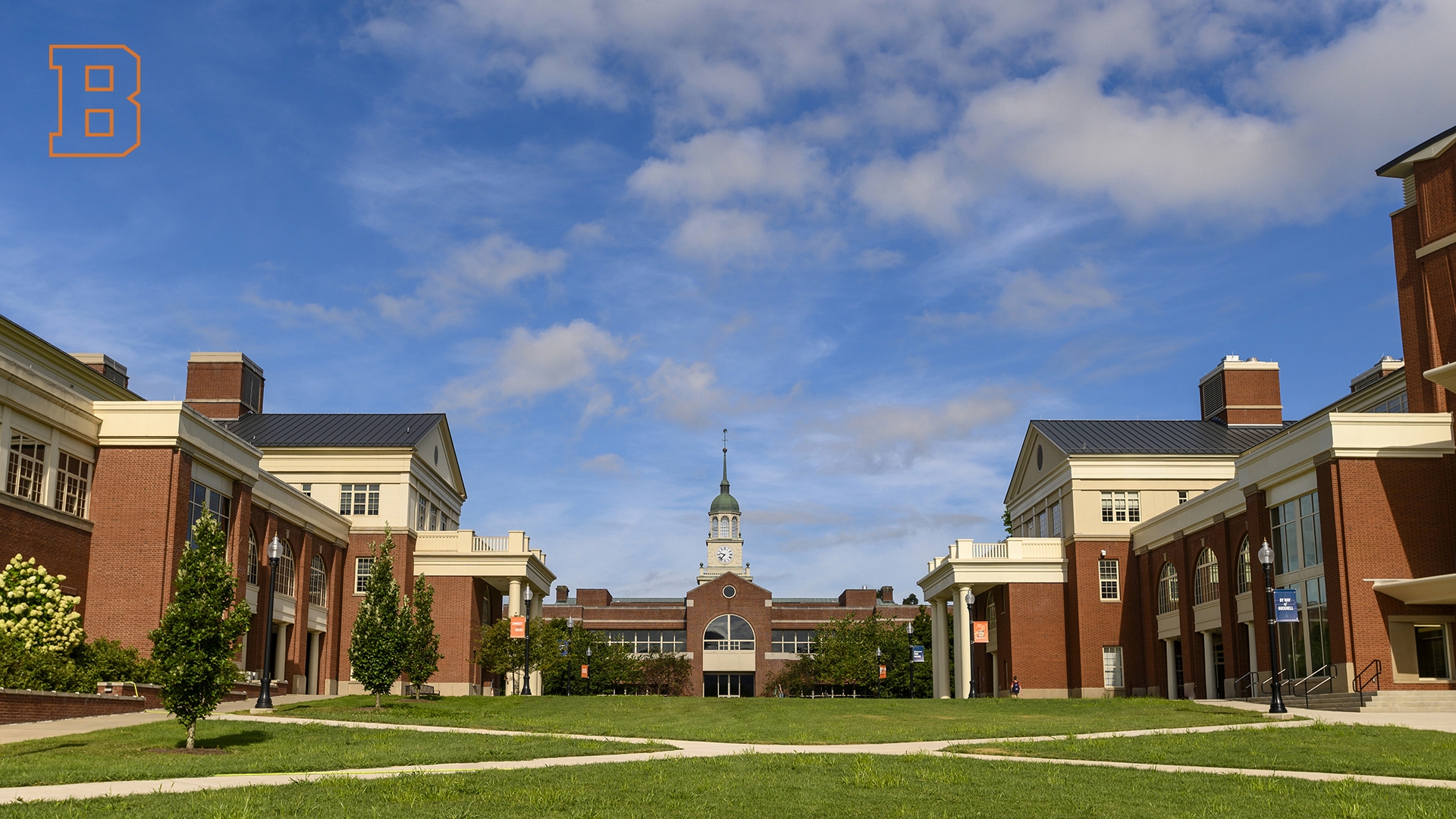 Zoom Background - academic quad