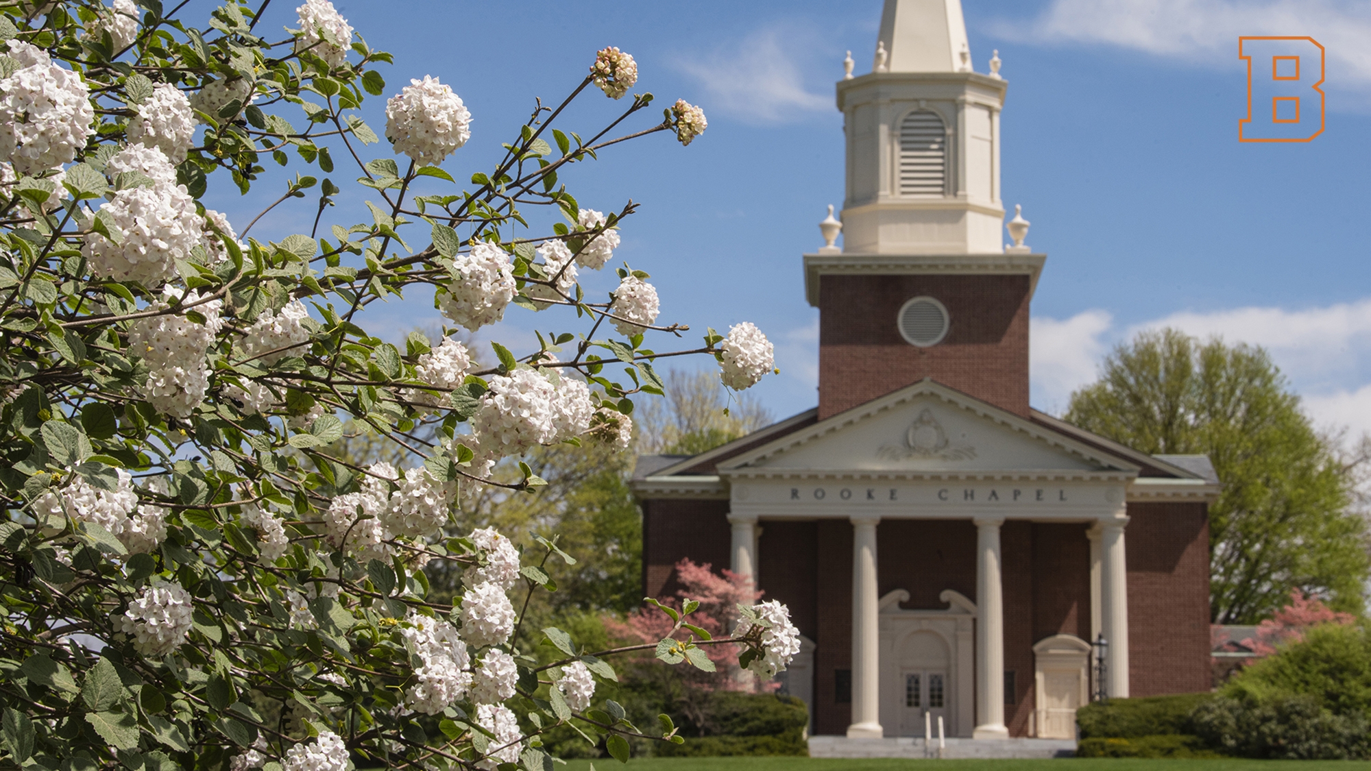 Zoom Background - Rooke Chapel white flowers