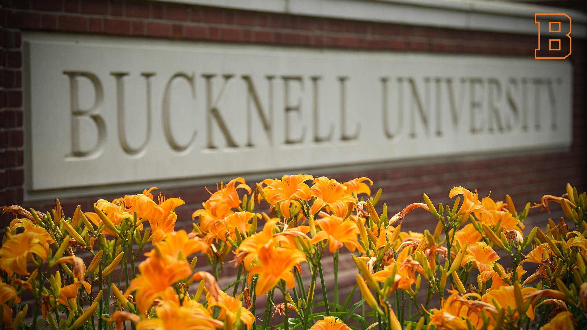 Zoom Background - Bucknell University