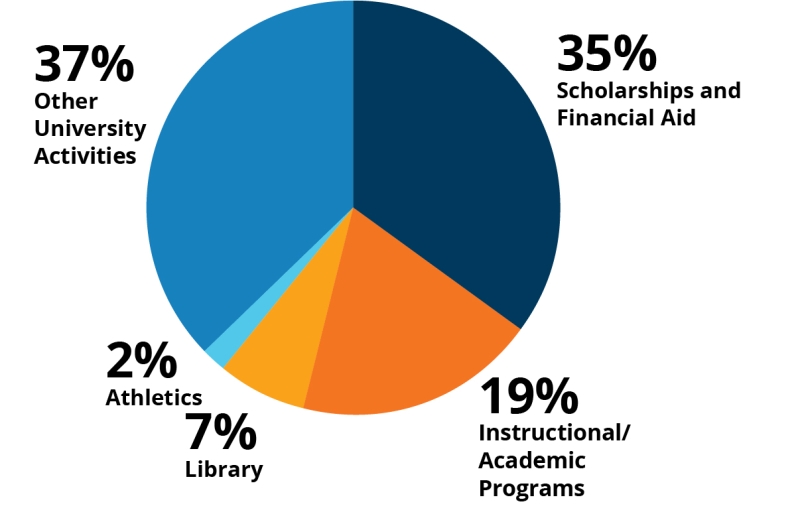 Pie chart showing the categorization of endowments