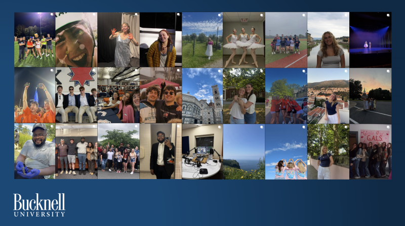 A grid of images from the @iamraybucknell Instagram account