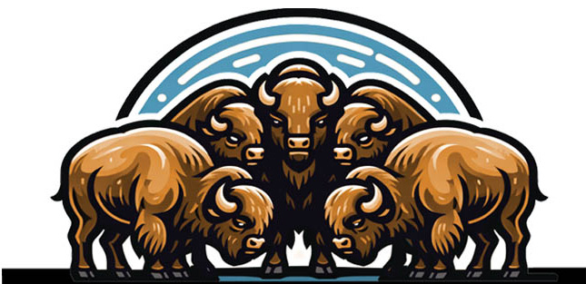Five Bison gathering, cartoon