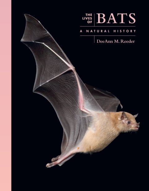 thelivesofbats_cover_0.jpg