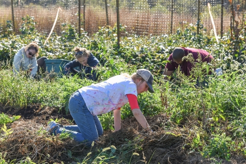 Students at the Bucknell Farm