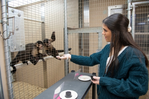 Macy conducts research with monkeys.