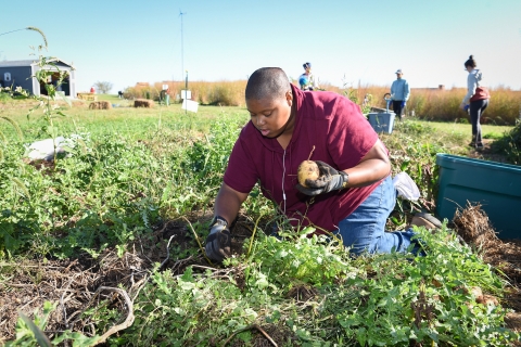 Gardening at homecoming