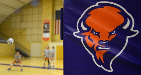 Bison logo on volleyball court