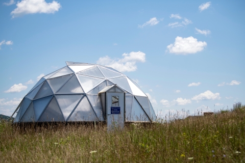 Living greenhouse