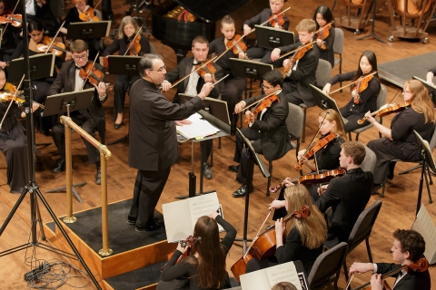 The orchestra plays at a concert