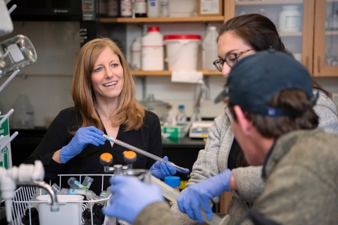 Professor Stevenson working in the labratory