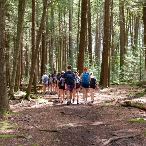 Students in the Forest