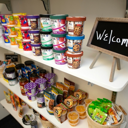 Stocked pantry shelves