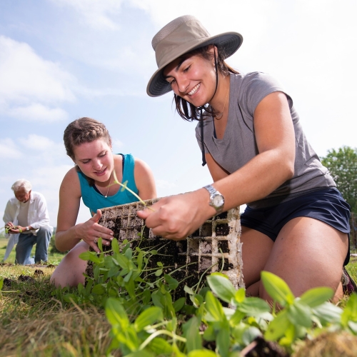 Students at Dreamcatcher Farm 